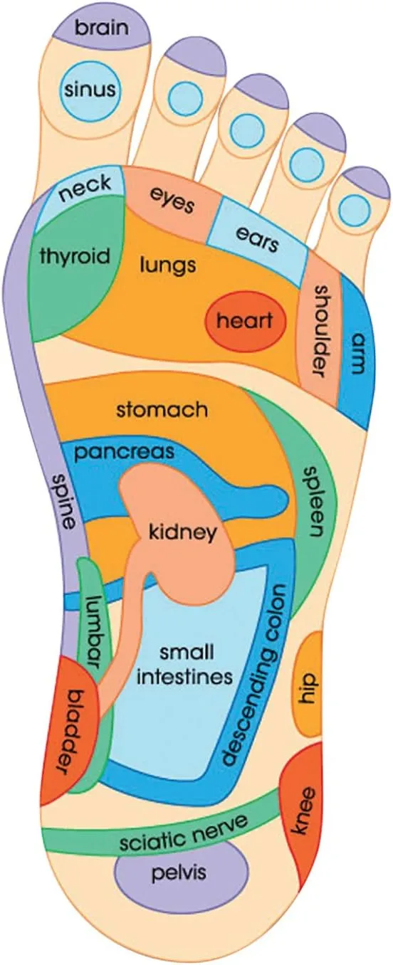 Fox Valley Traders Massaging Comfort Slides Mens